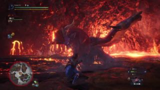 モンスターハンター：ワールド_20180609221043