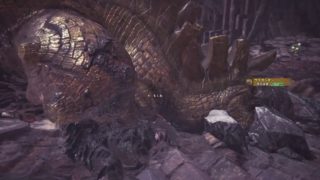 【MHW】＃177　龍結晶の地：エリア5・6・7探索【モンスターハンターワールド】