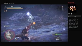 モンスターハンターワールド　キリン歴戦王　TA録