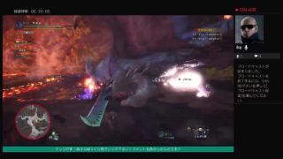 ケンジのモンスターハンターワールド。第４０章、フレンドと一緒に