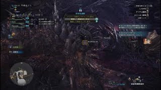 モンスターハンター：ワールド_ネルギガンテ野良