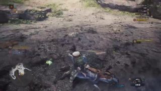 モンスターハンター・ワールド　#13