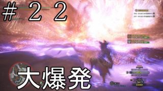 ＃２２　モンスターハンターワールド　「逃がさんと言った！」