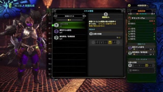 モンスターハンターワールド（初心者） 参加型　初見さん歓迎初心者さんも歓迎