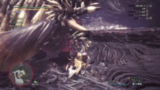 モンスターハンター：ワールド_20180606001558