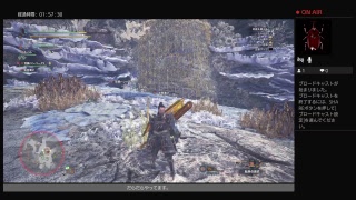 モンスターハンターワールド　とあるハンターの記録 その