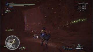 モンスターハンター：ワールド_20180601000656