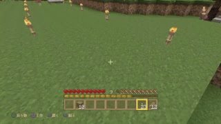 マインクラフト、FPS萎えた