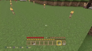 マインクラフト、FPS萎えた