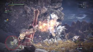 モンスターハンター：ワールド_20180611121004