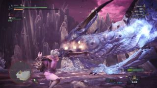 モンスターハンター：ワールド_20180605020900