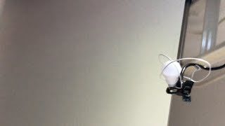 【スプラトゥーン2】みんな参加してね！！