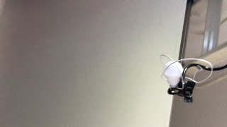 【スプラトゥーン2】みんな参加してね！！