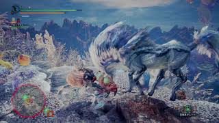 モンスターハンター：ワールド_20180608174029