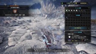 モンスターハンター：ワールド　歴戦王キリン　ランス　7分40秒　オトモ、爆弾、転身無し