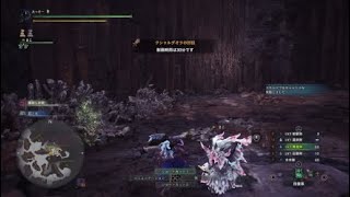 ［モンスターハンター：ワールド］歴戦クシャの5枠（初めて）をやってみた