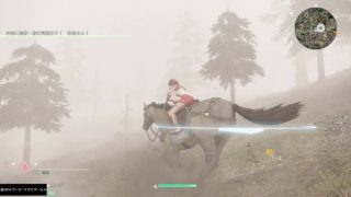 真・三國無双８　進めないが…