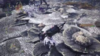 【モンスターハンターワールド】MHW　第2部　42　色々。