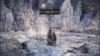 モンスターハンター：ワールド_20180611103542