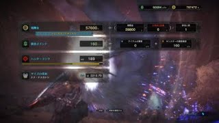 モンスターハンター：ワールド_20180601161521