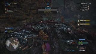 モンスターハンター：ワールド_20180607221731