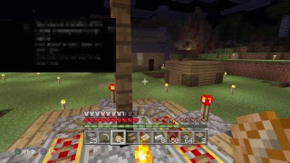 マインクラフトのお時間です　初見歓迎