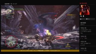 モンスターハンターワールド！ナナちゃん宝玉ください！