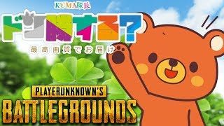 【PUBG】🐻ドン勝する？- 2018/6/9【実況ライブ】