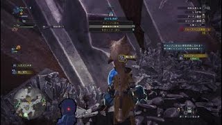 モンスターハンター：ワールド_イベント痕跡集めクエスト