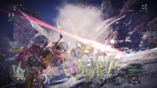 モンスターハンター：ワールド_20180607013143