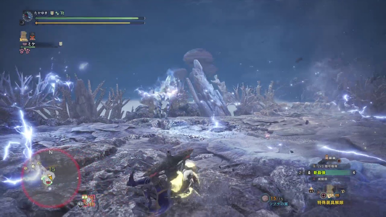 モンスターハンター：ワールド_20180609040236