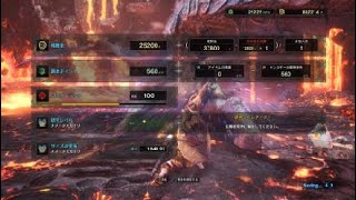 モンスターハンター：ワールド_誰が玉座に牙を剥く？　ランス