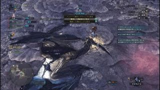 モンスターハンター：ワールド_レイギエナ野良