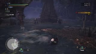 モンスターハンター：ワールド_20180603160541