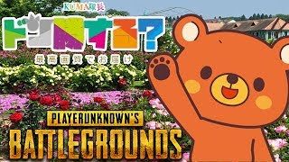 【PUBG】🐻ドン勝する？- 2018/6/8【実況ライブ】