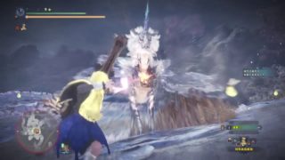 モンスターハンターワールド　キリン歴戦王　TA録2 のコピー