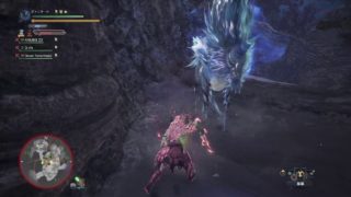 モンスターハンター：ワールド_１死採取寄生ハンター　D.AV GhostWolf_1995