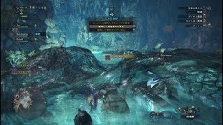 モンスターハンター：ワールド_ヴァルハザク野良