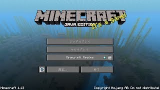 【Minecraft】ルリホシノとsea biscuitのだらだら生活＃9（ver1.13）【マインクラフト】※概要も見てね