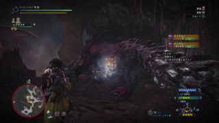 モンスターハンターワールド　歴戦オドガロン３分切り