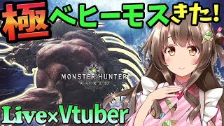 【MHW×VTuber】極ベヒーモスにライトボウガンで挑戦！マルチ募集【初見歓迎／モンスターハンターワールド ライブ】