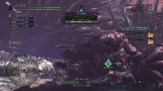 極ベヒーモス討伐戦初クリア動画【モンスターハンターワールド】