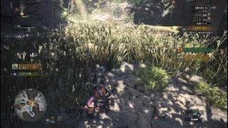 モンスターハンター：ワールド_20180819154858