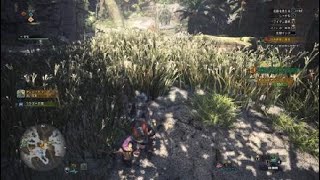 モンスターハンター：ワールド_20180819154858