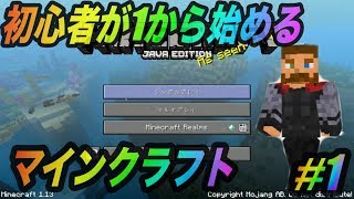 【マイクラ】初心者が1から始めるマインクラフト #1【初心者】