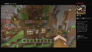 マインクラフトPS4 まったり街作り　声なし