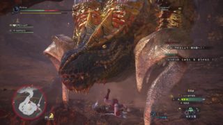 モンスターハンター：ワールド_20180824004726