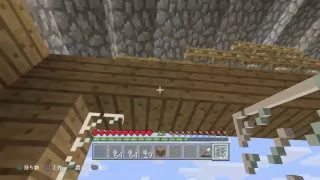 [マインクラフト]　おうちたてよ