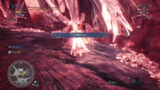 モンスターハンター：ワールド_20180828200656