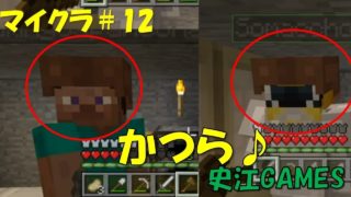 【マインクラフト】#12　かつら始めました♪